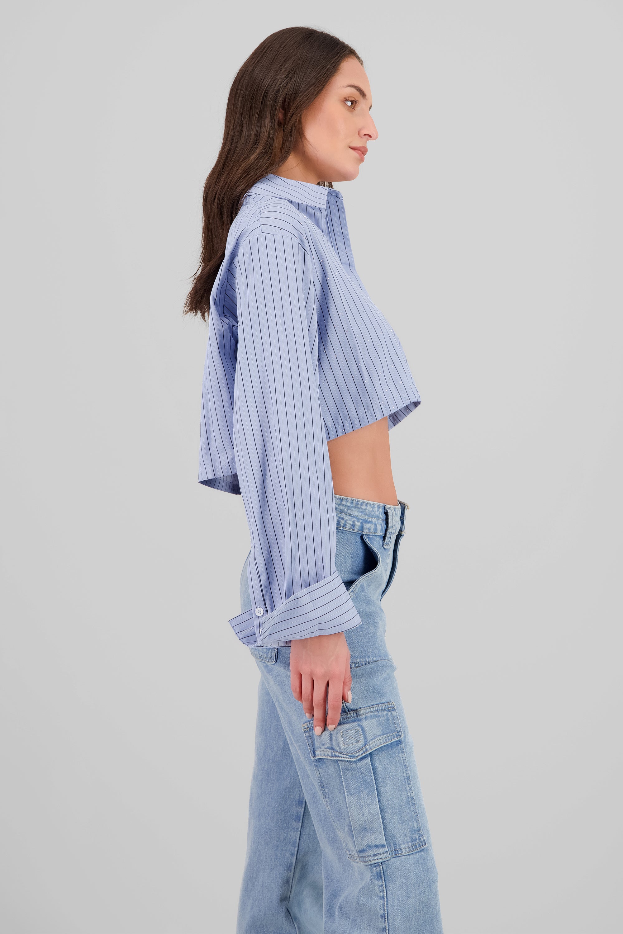 Striped Sparkly Crop Shirt BLUE COMBO