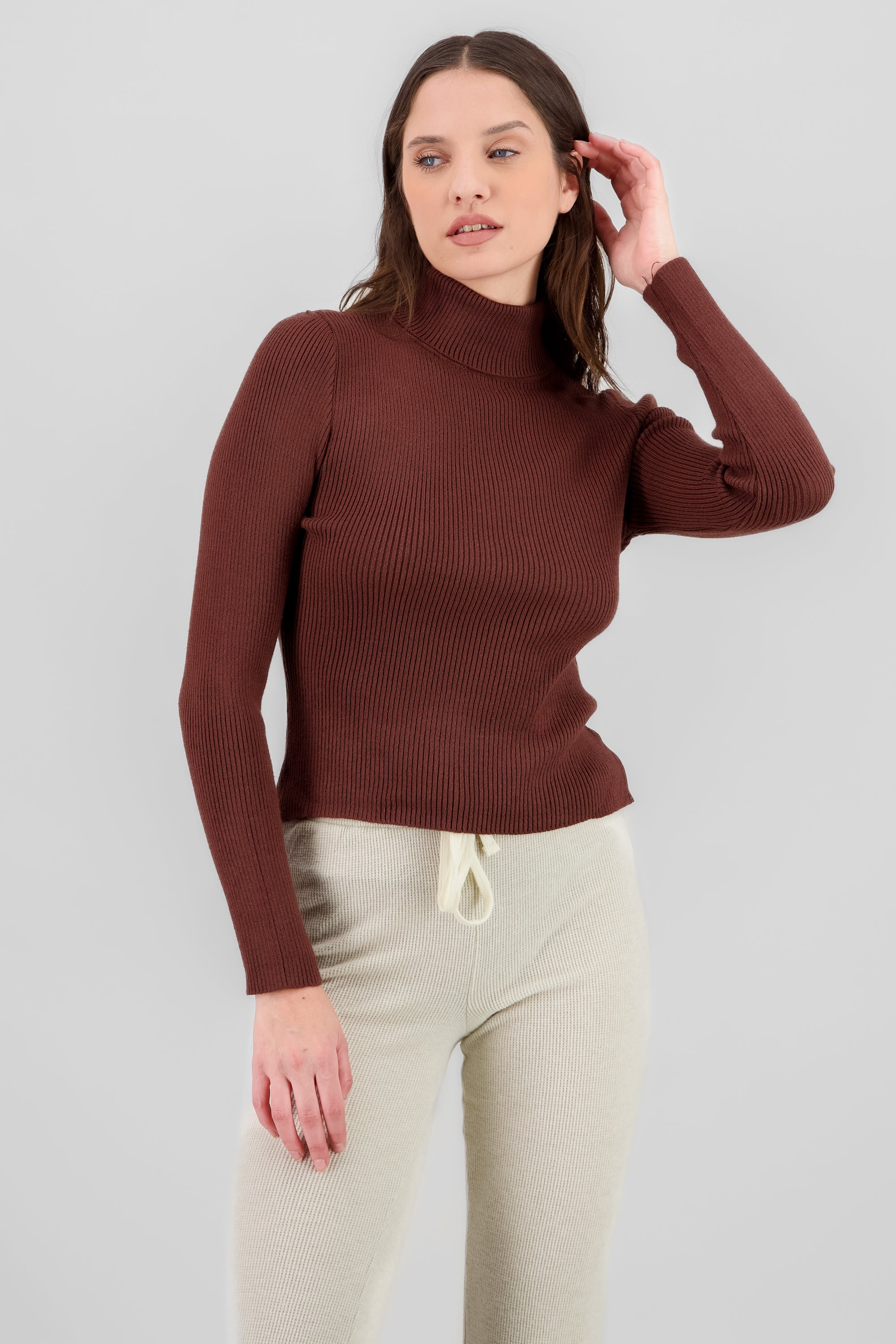 Solid Ribbed High Neck Sweater BROWN