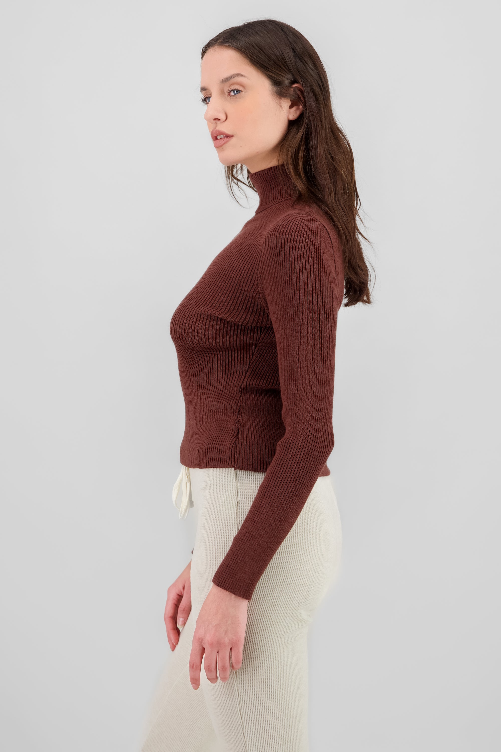 Solid Ribbed High Neck Sweater BROWN