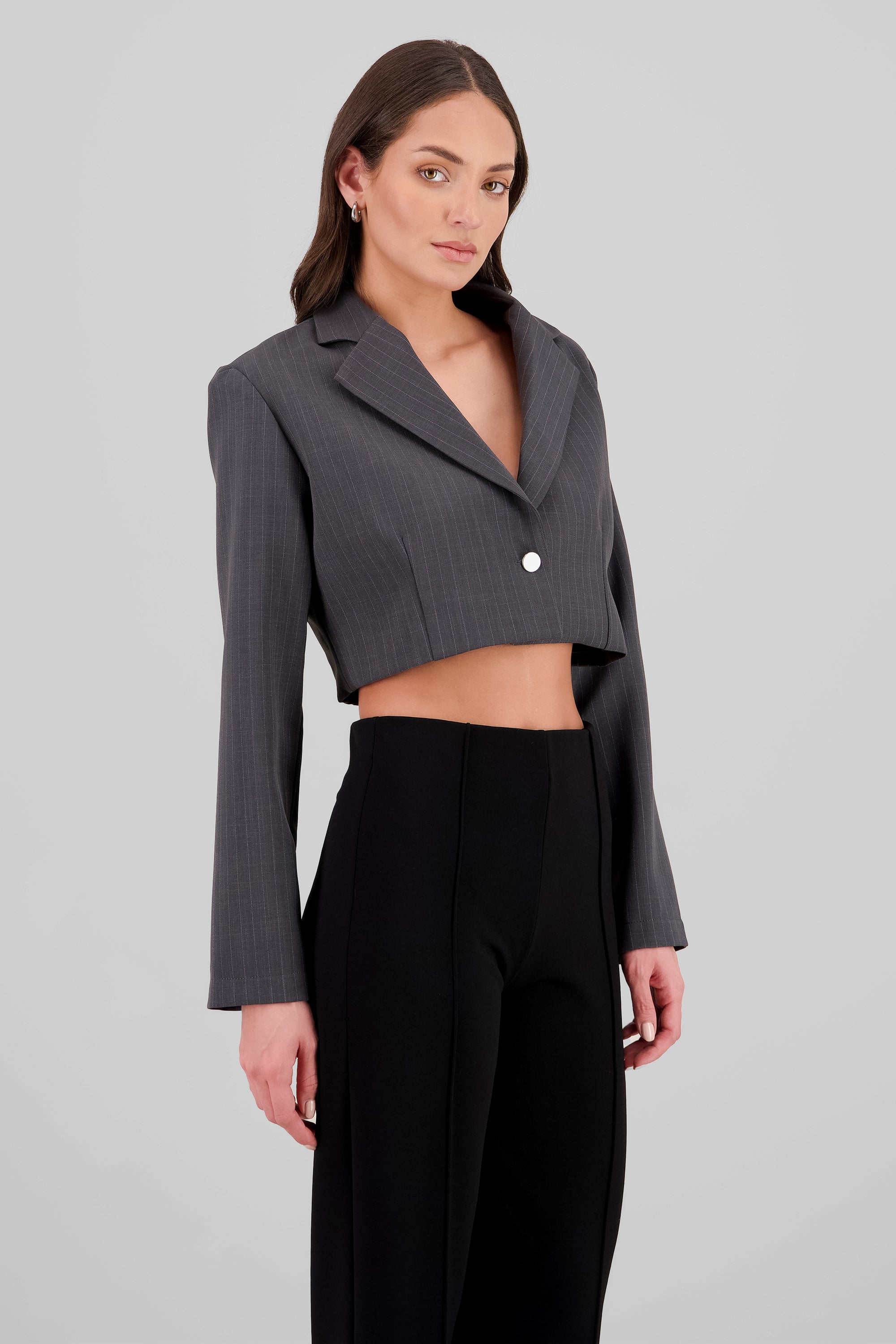 Pinstripe Blazer GRAY COMBO