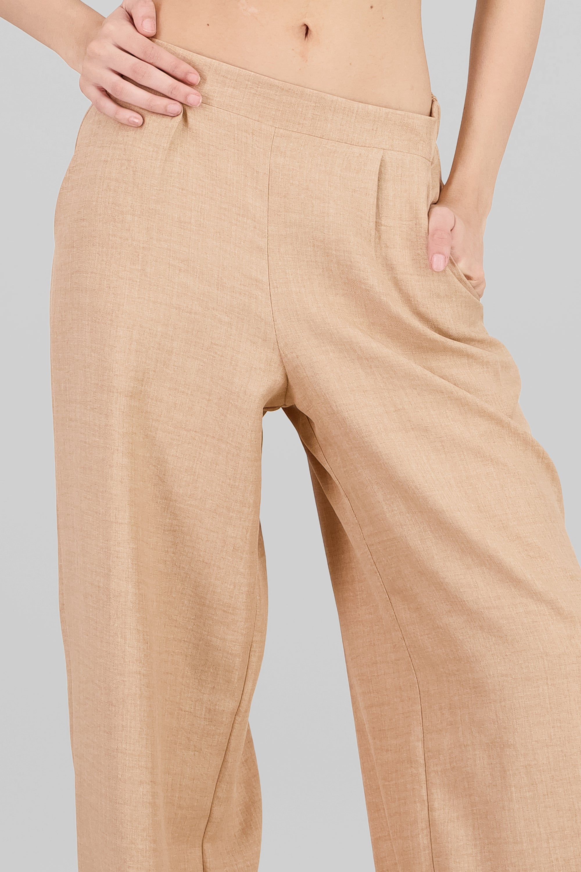 Wide Leg Pleated Pants BEIGE