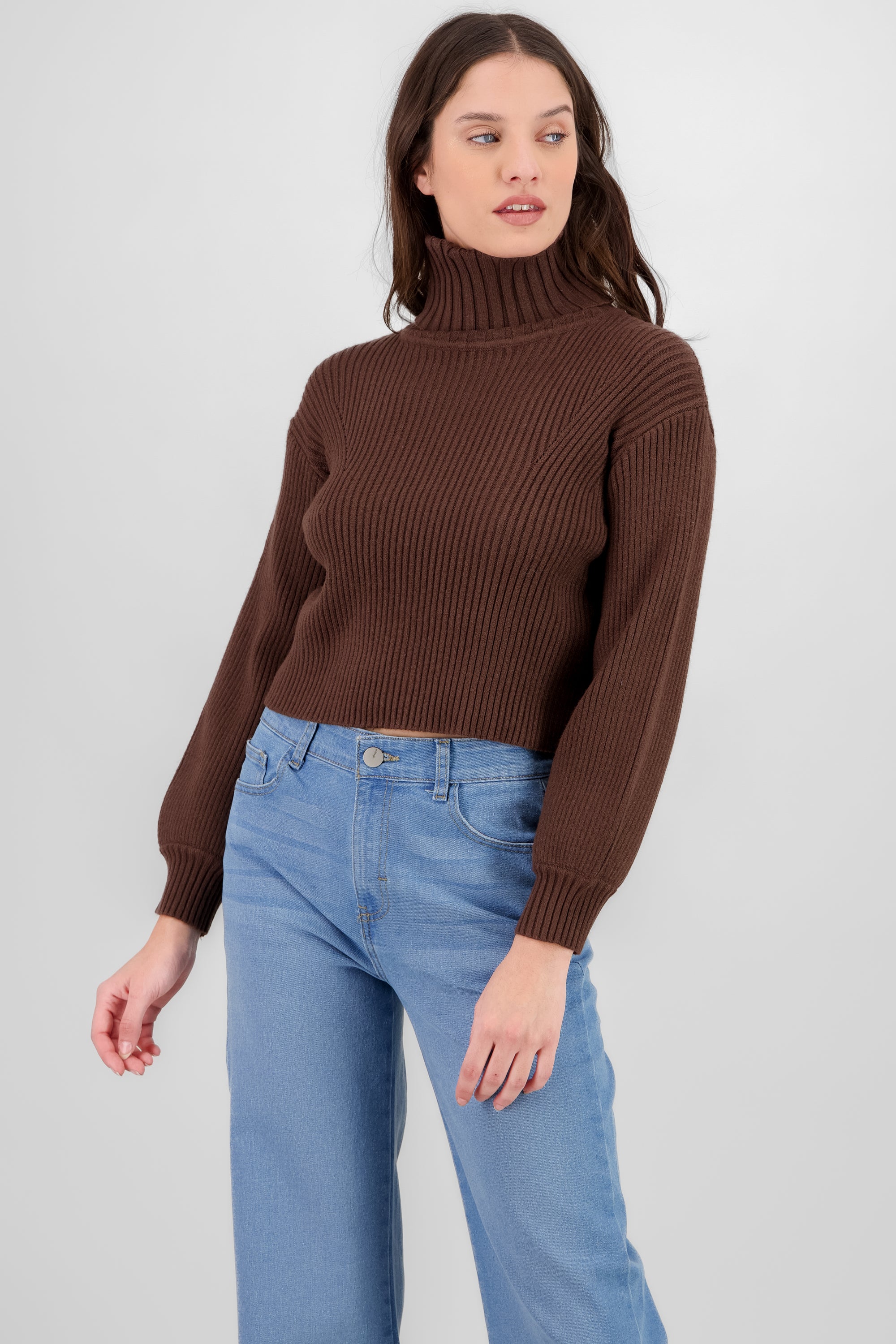 Turtleneck Knit Sweater BROWN