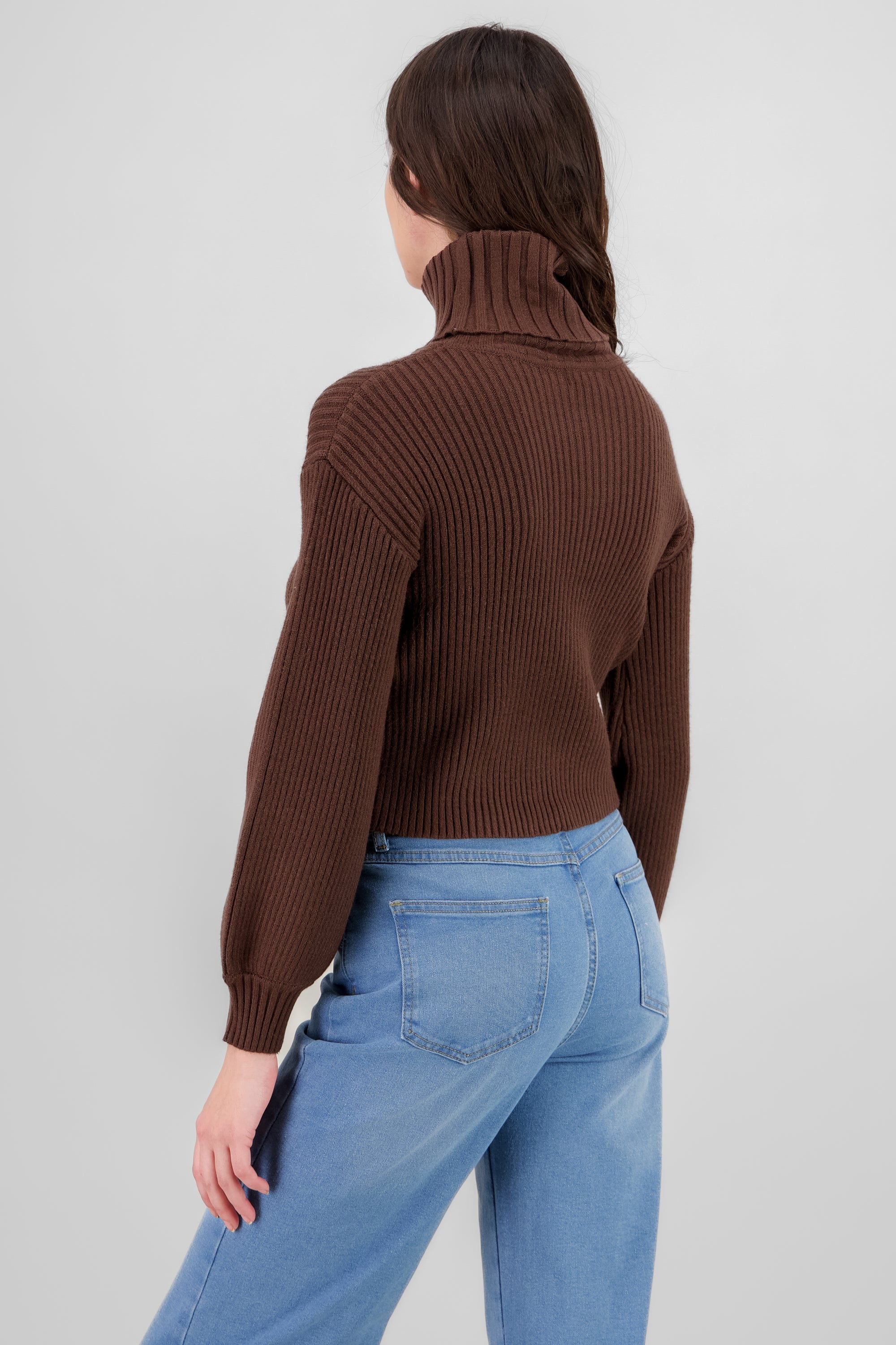 Turtleneck Knit Sweater BROWN