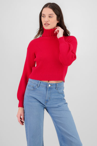 Turtleneck Knit Sweater RED