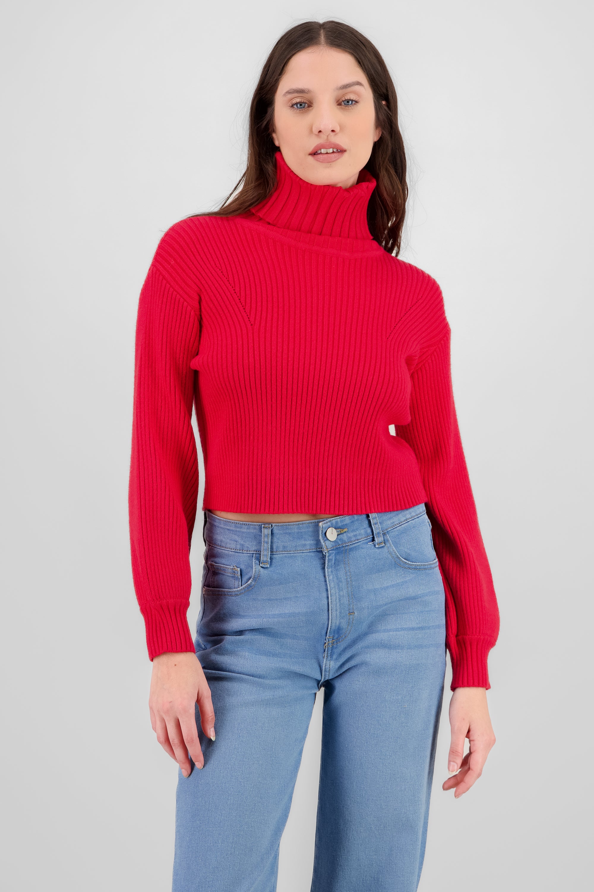 Turtleneck Knit Sweater RED