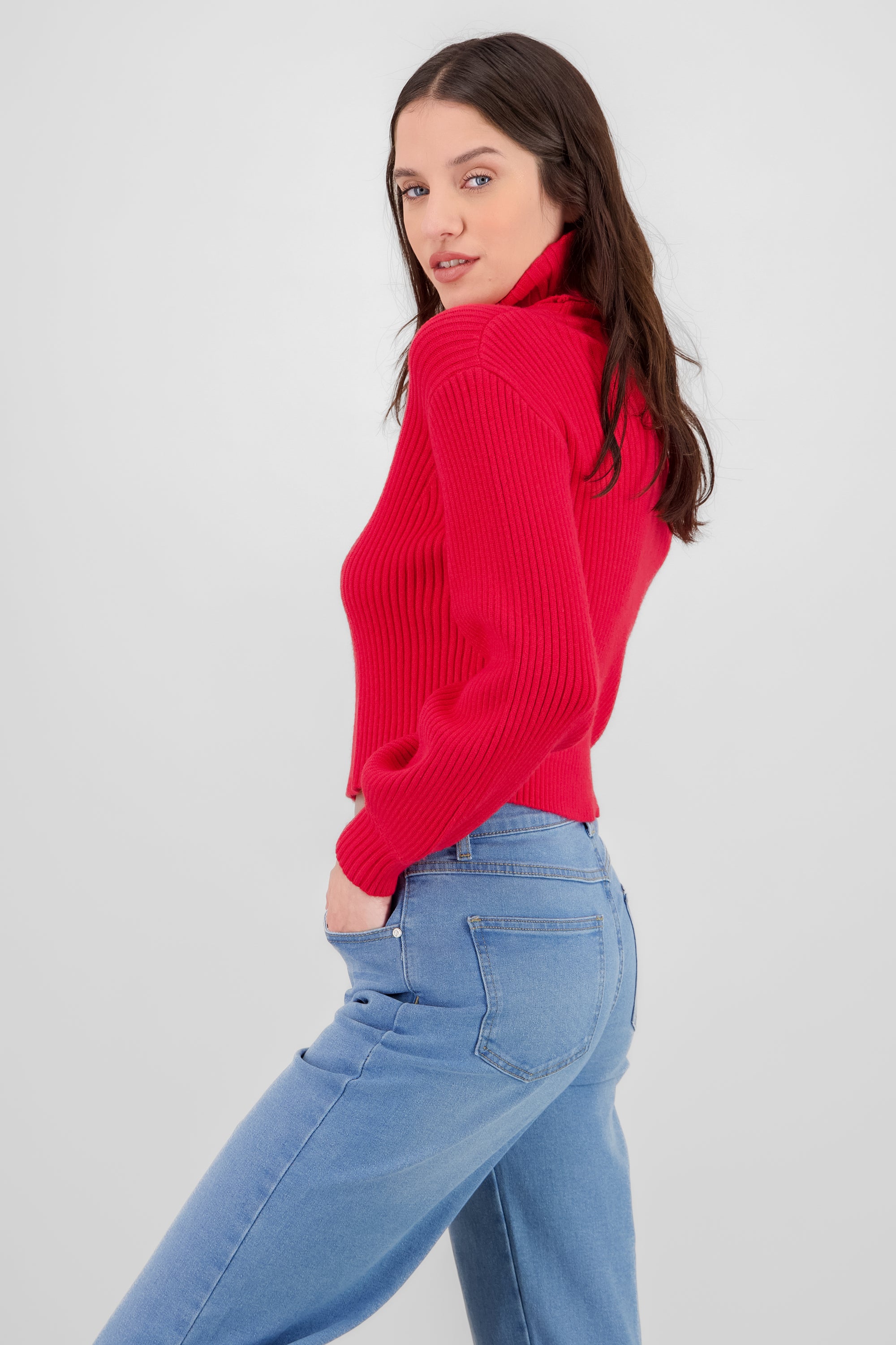 Turtleneck Knit Sweater RED