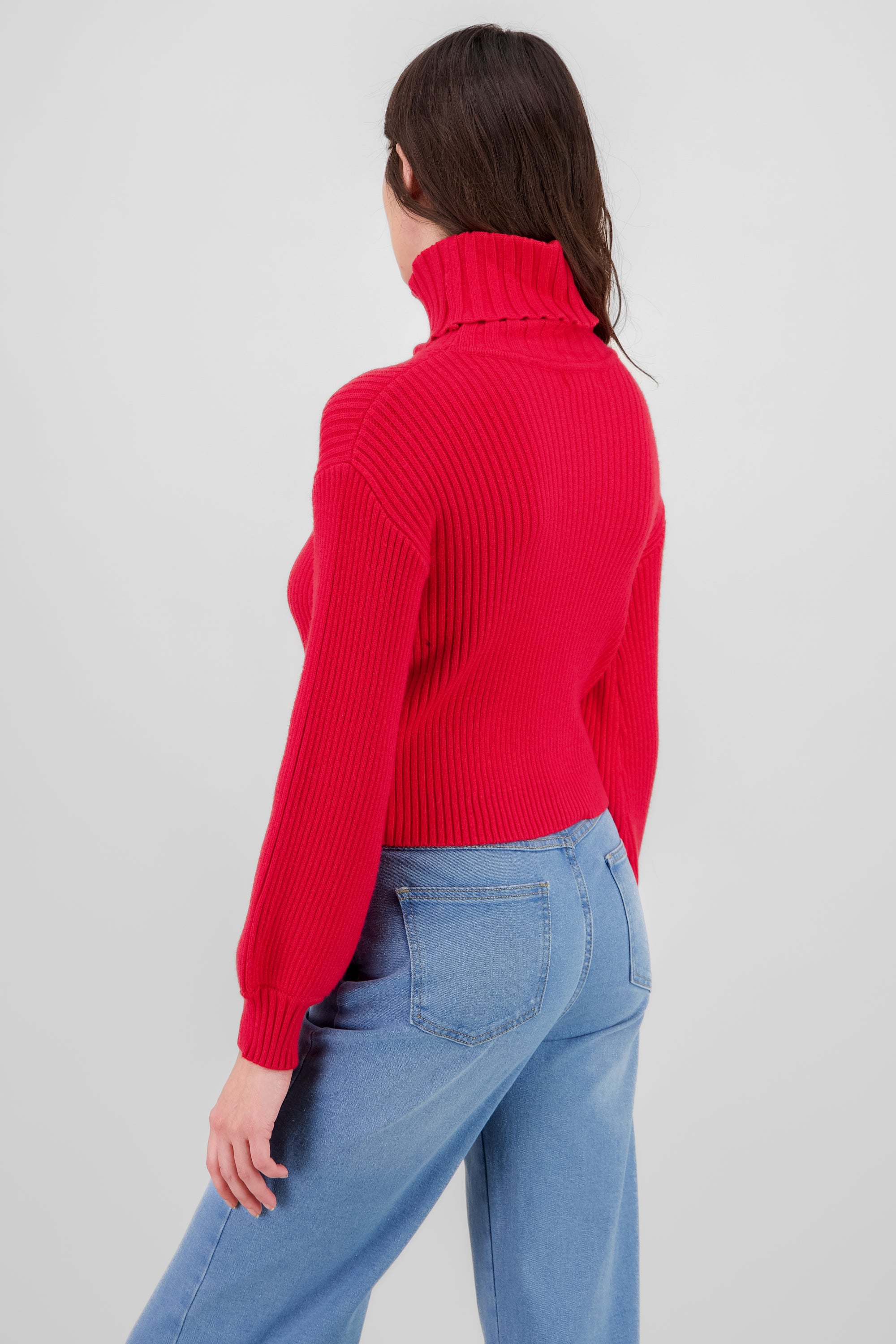 Turtleneck Knit Sweater RED