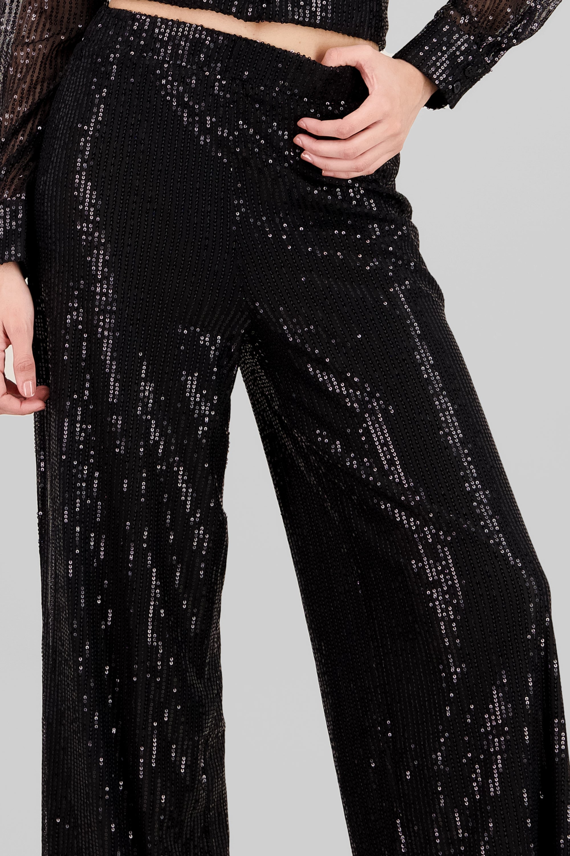 Sparkly Wide Leg Pants BLACK